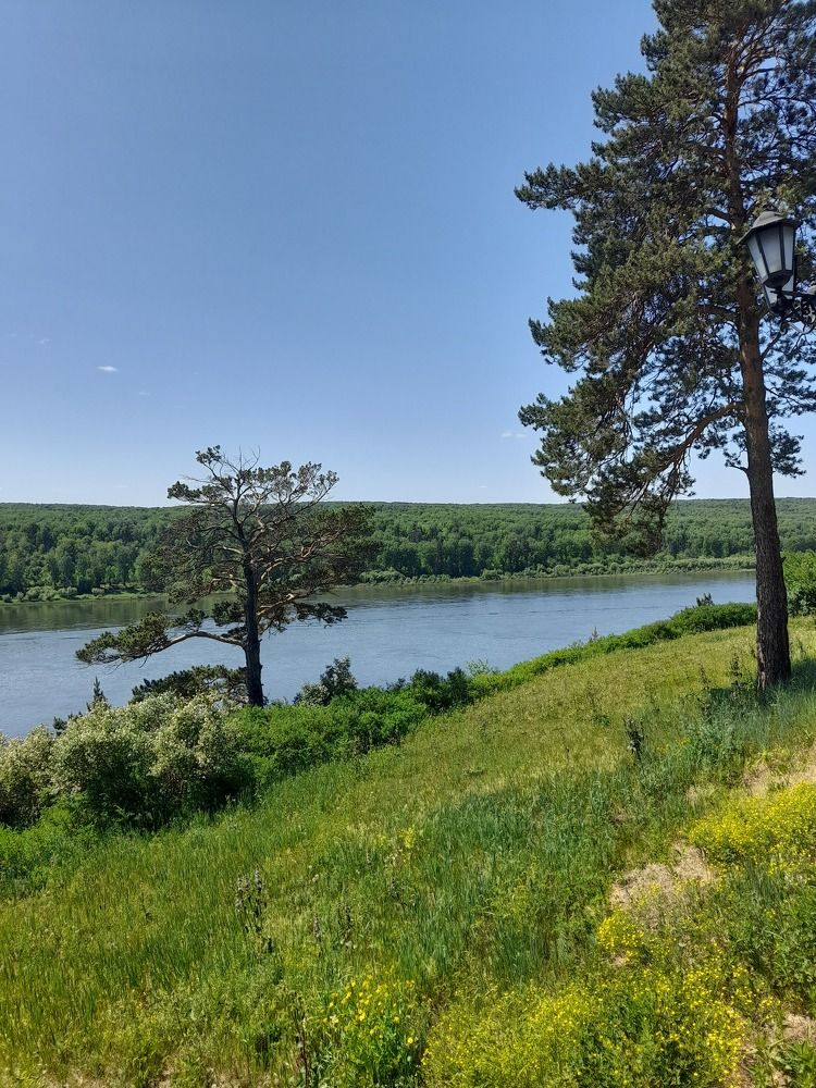 Сибирские просторы