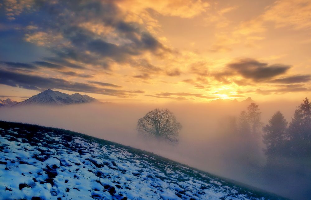 Photograph by Elena Wymann