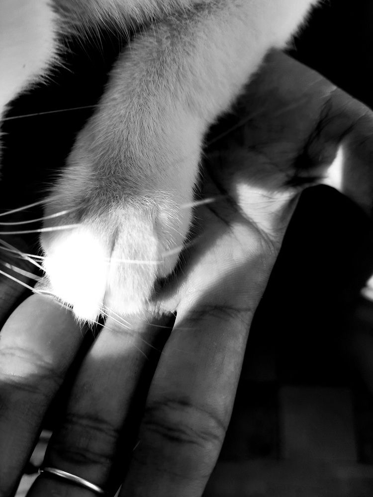 Photograph by Jorge Cruz Fraga