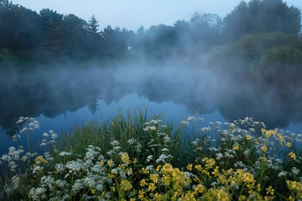 Утро на озере