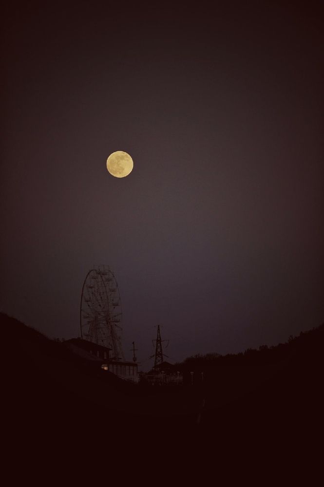 Photograph by Михаил Саидов