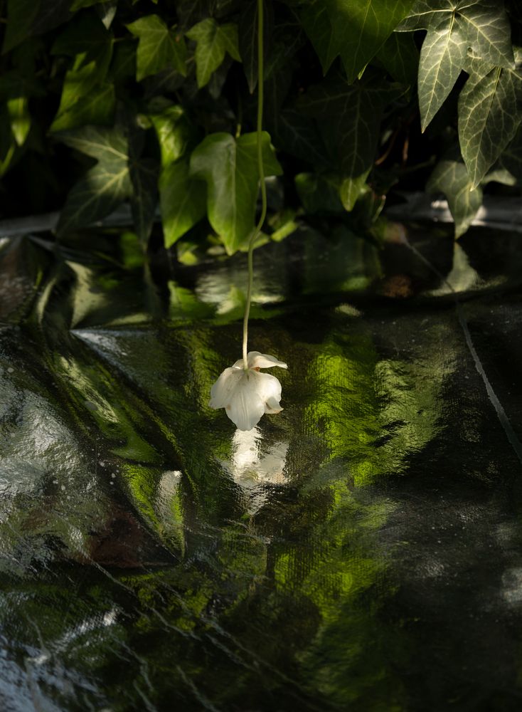 Photograph by Ольга Бакурская