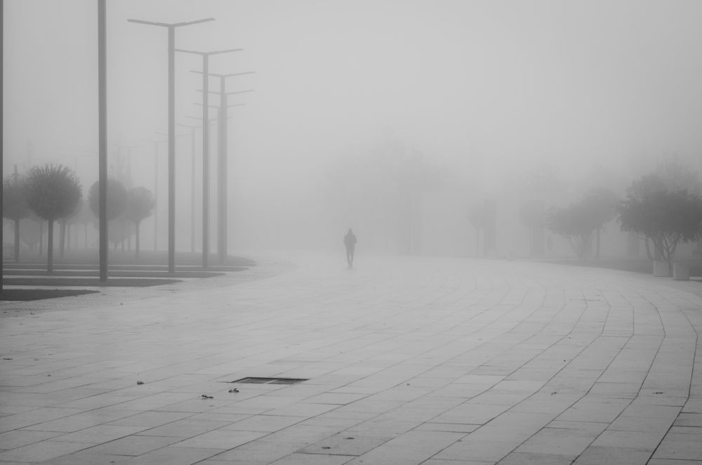 Photograph by Анастасия Кашенко