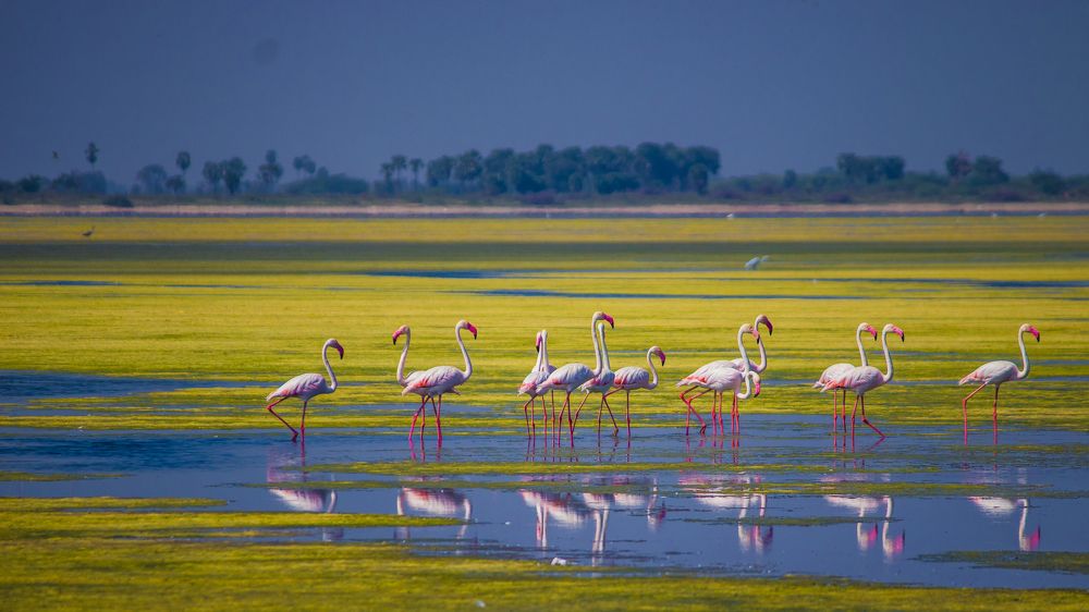 Photograph by GOKUUL T