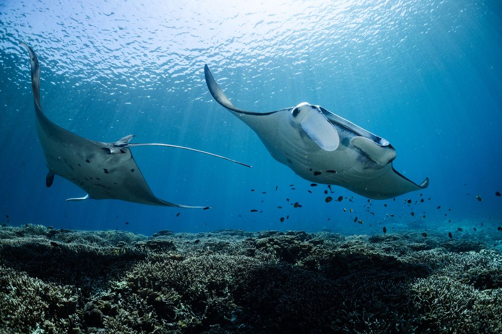 Photograph by vinay abraham mathew