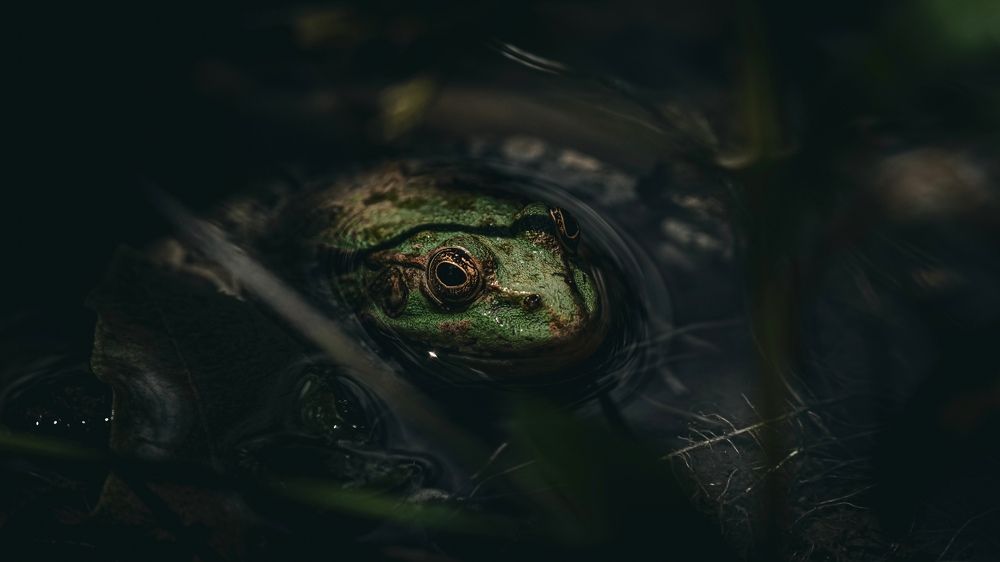 Photograph by Антон Дроздов