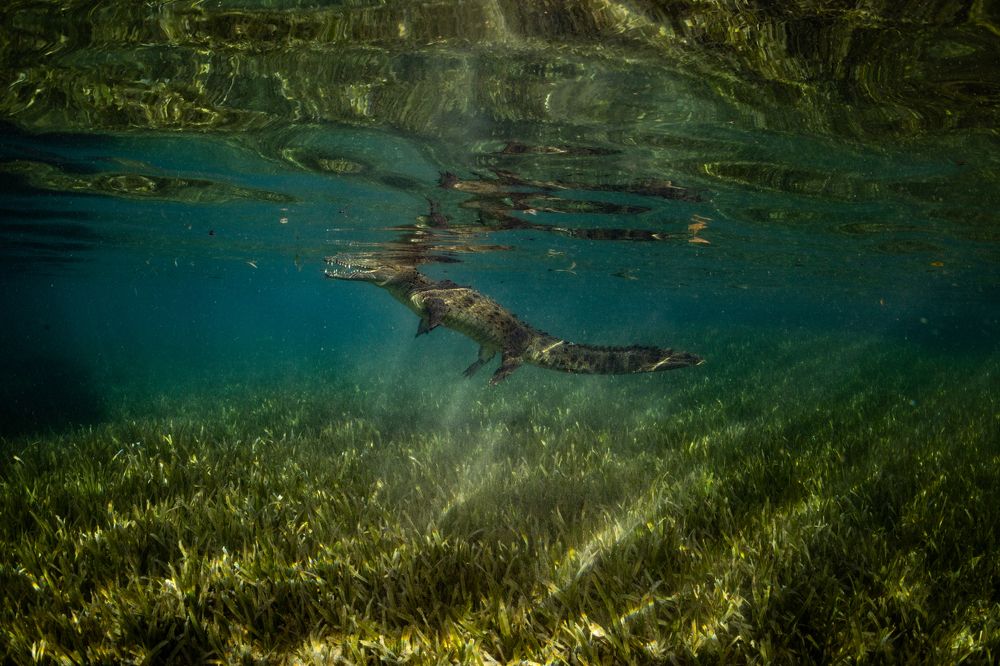 Photograph by vinay abraham mathew