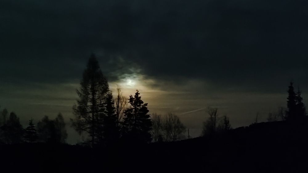 Photograph by Олег Марков