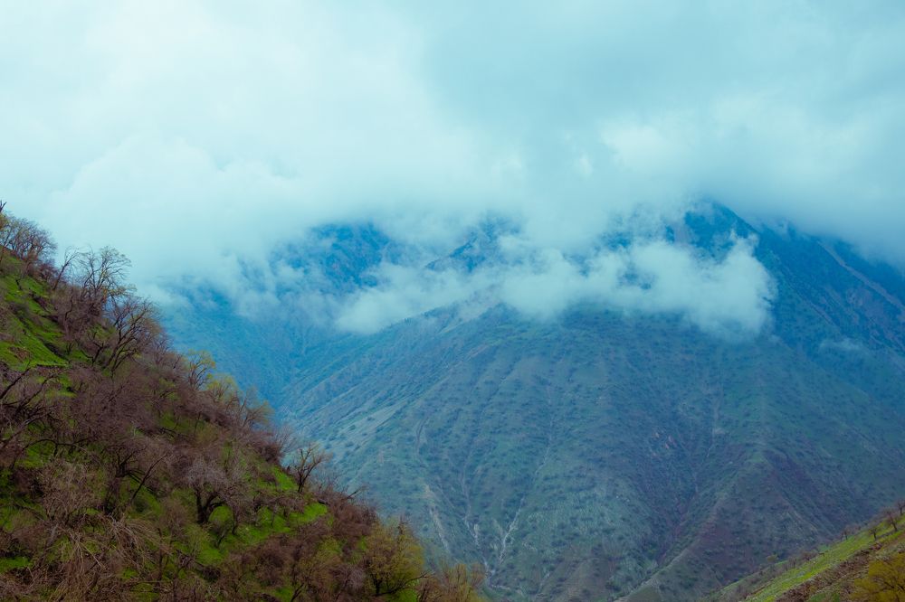 Фотография автора kazem kakaei