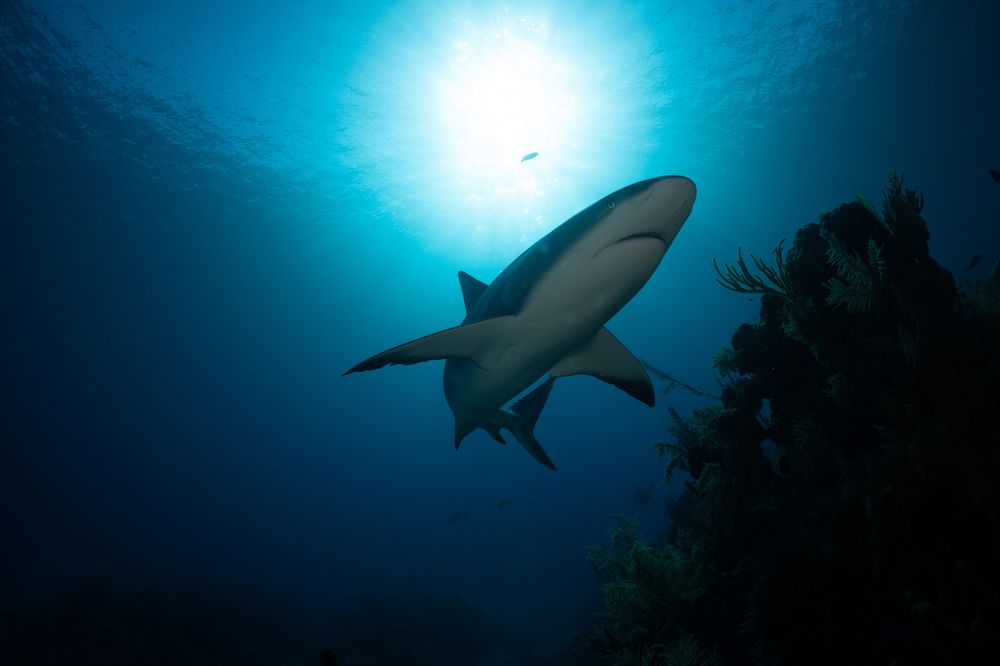 Photograph by vinay abraham mathew