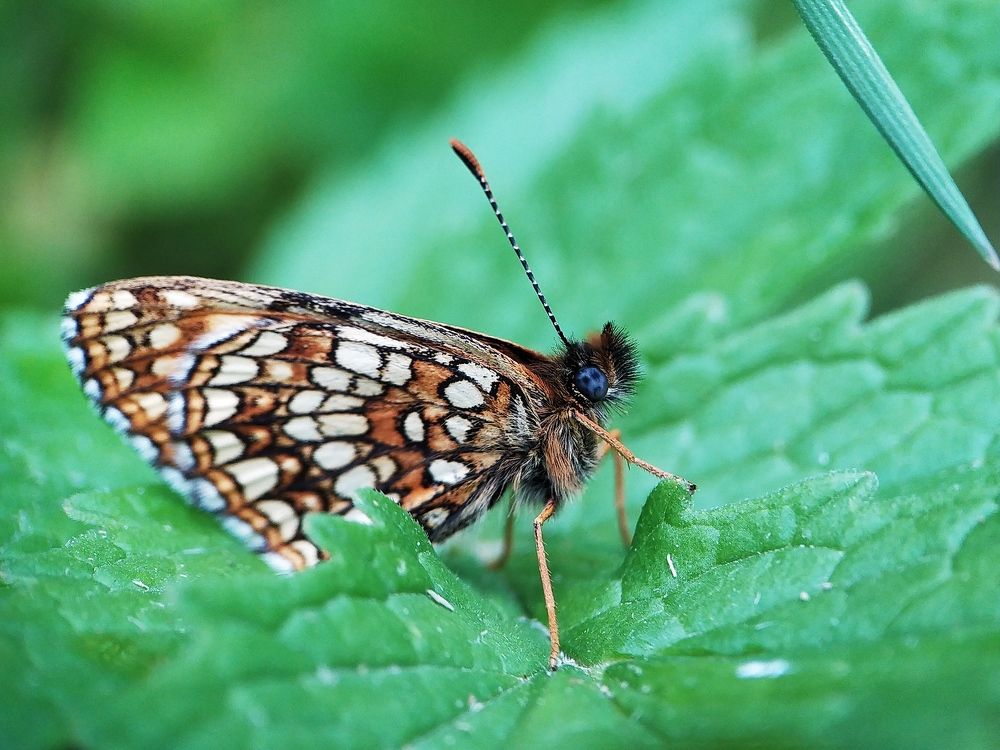 Photograph by Юлия Смирнова