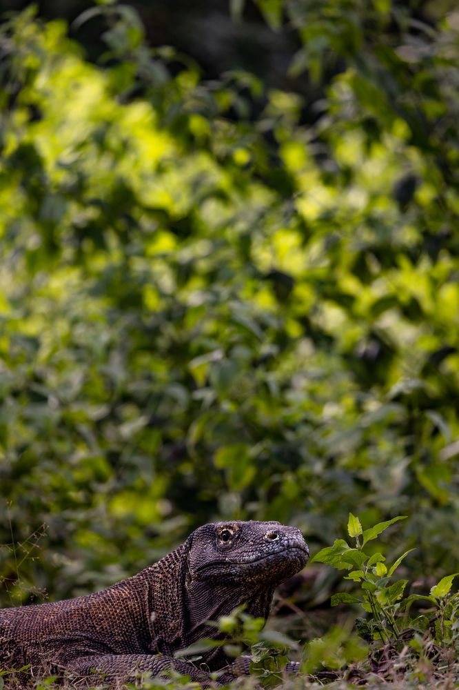 Photograph by vinay abraham mathew