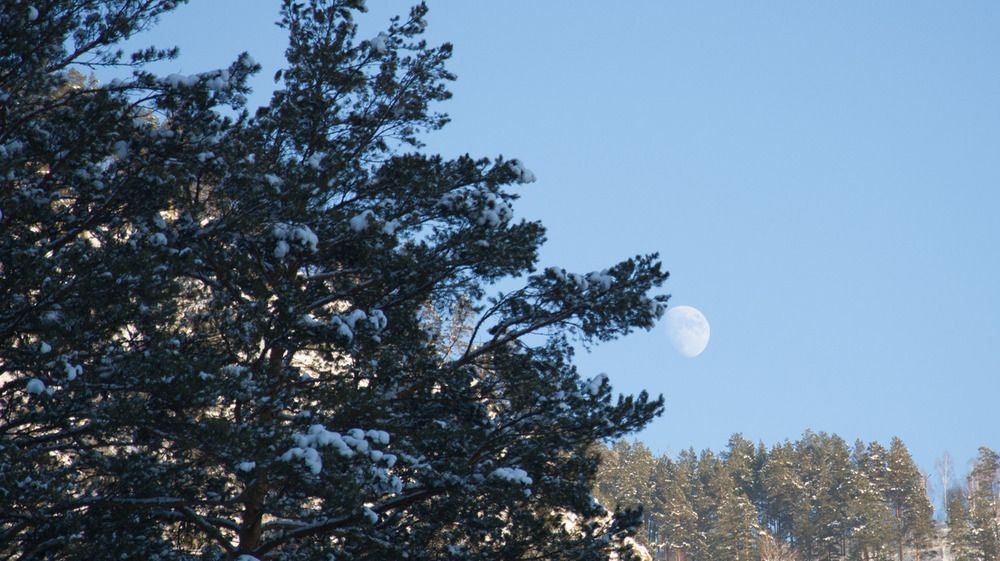 Фотография автора Мария Черница