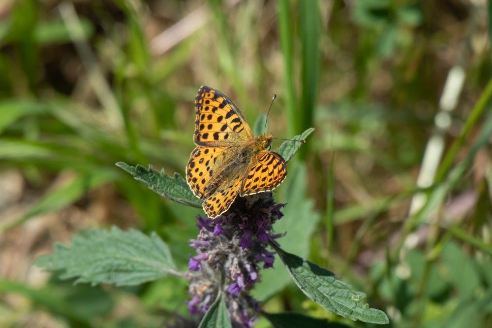 Photograph by Константин Павленко