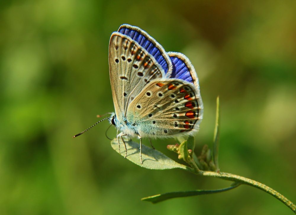 Photograph by 