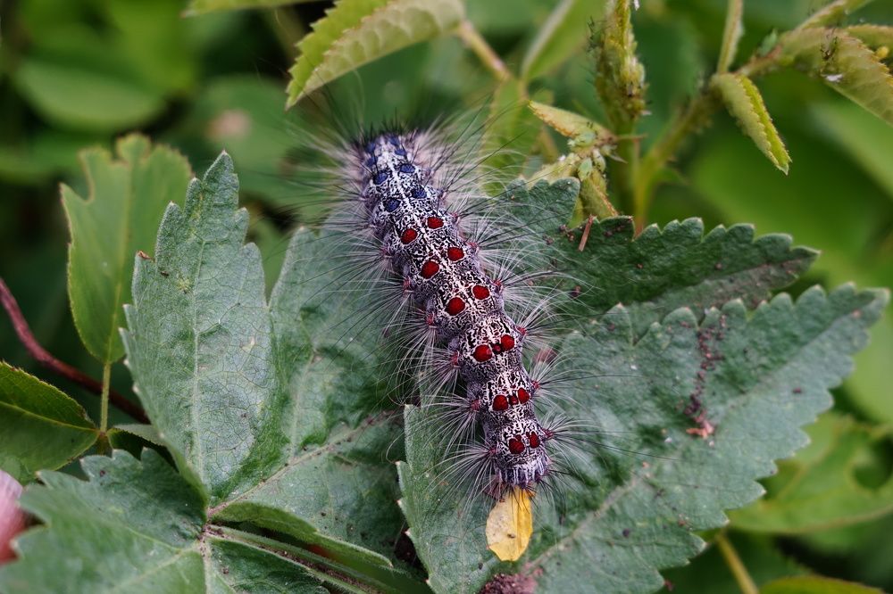 Photograph by Александр Кизим