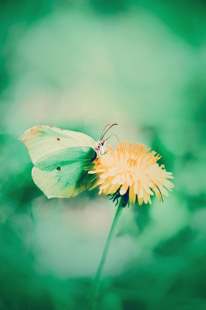 Photograph by Валерия Ватель