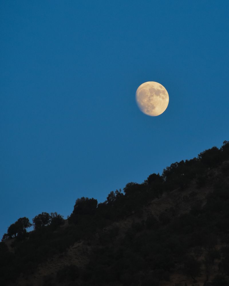 Фотография автора kazem kakaei