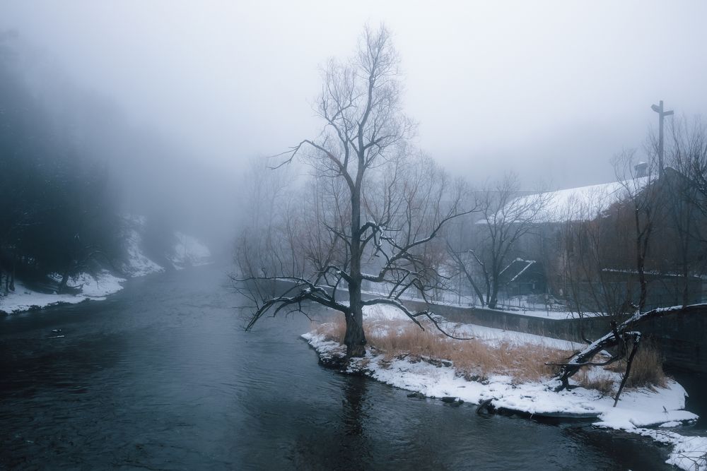 Photograph by Greg Noakes