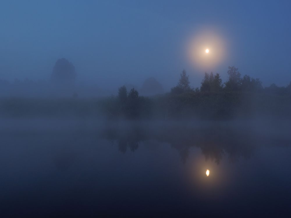 Photograph by Сергей Гаврилов