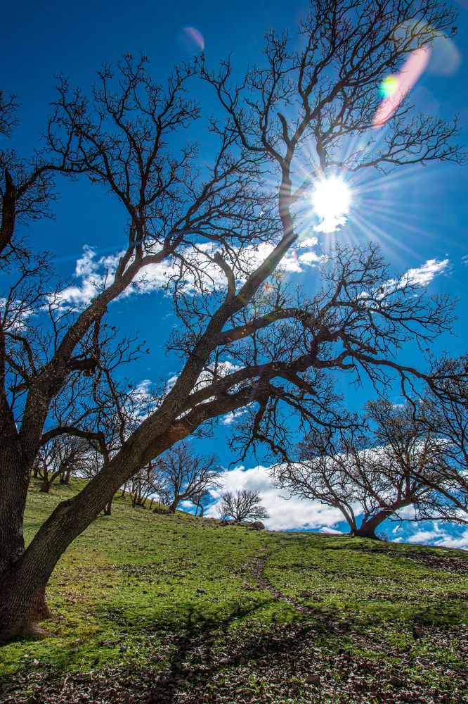 Фотография автора kazem kakaei