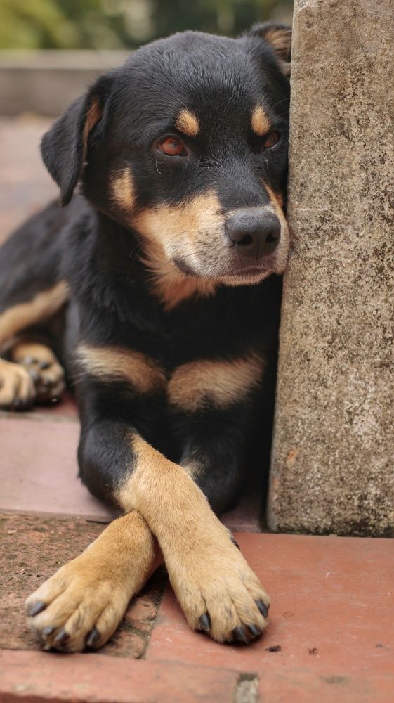 Photograph by nileydi Colmenarez