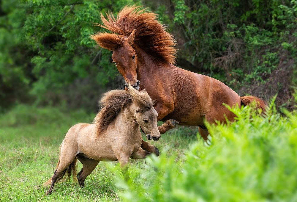 Photograph by Короткевич Валерия