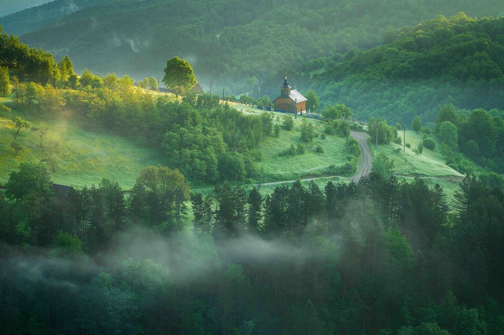 Photograph by Alexandru Pavel