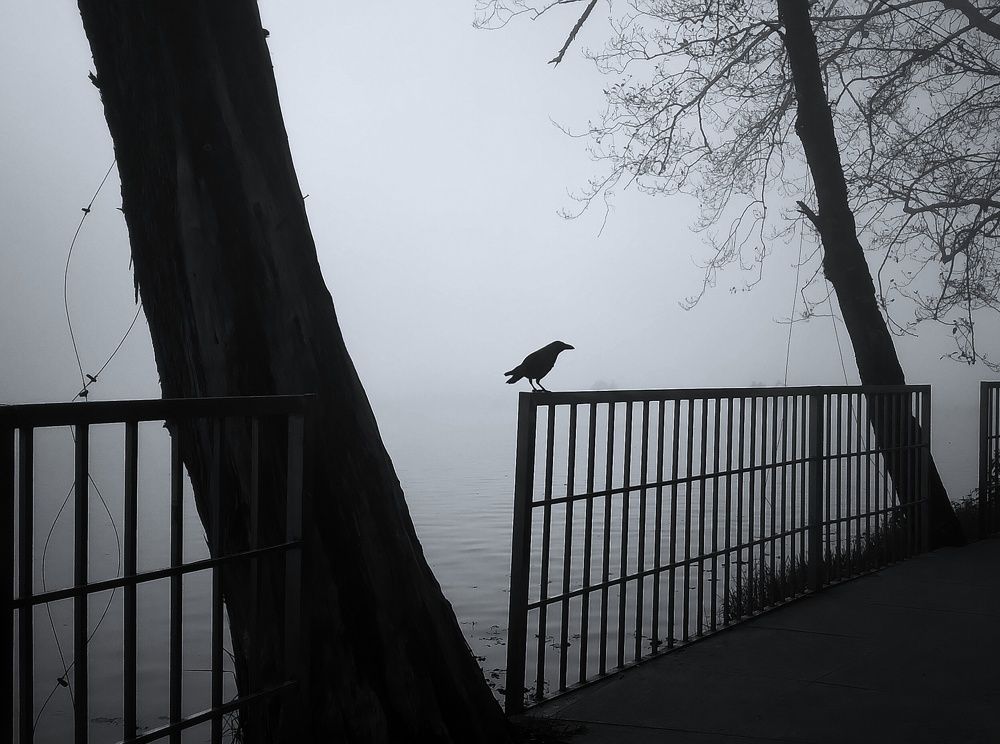 Photograph by Saravana Manickam