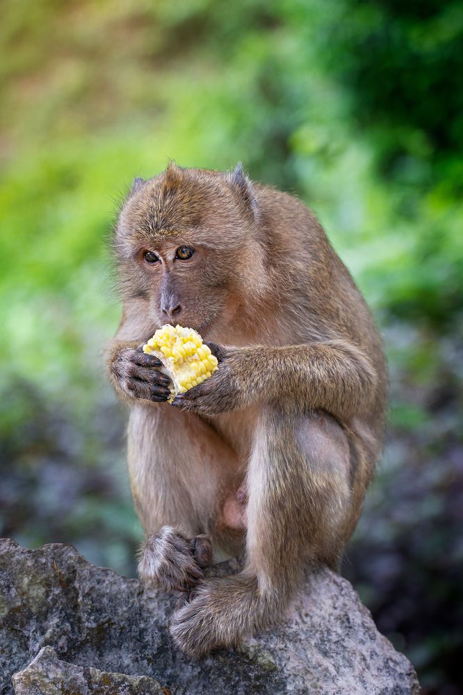 Photograph by Елена Кабенкина