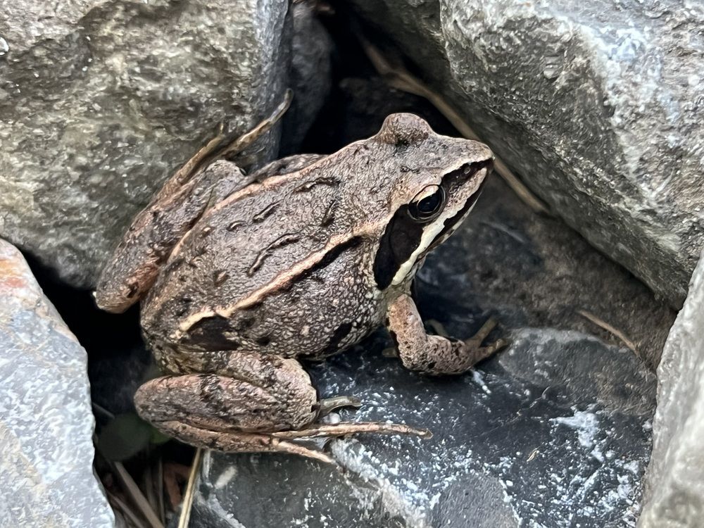 Photograph by Елена Змейкова