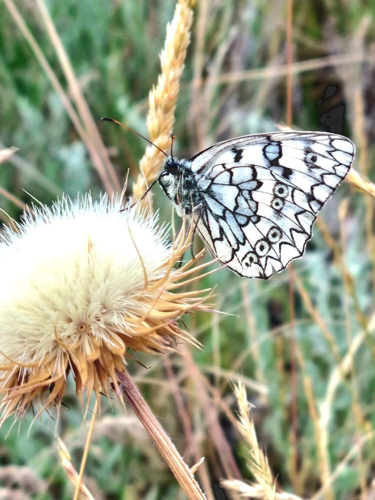 Photograph by Наталья Анисимова