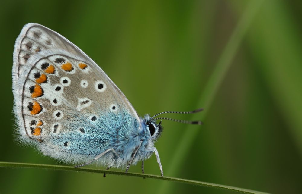 Photograph by Наталья Гайдукевич