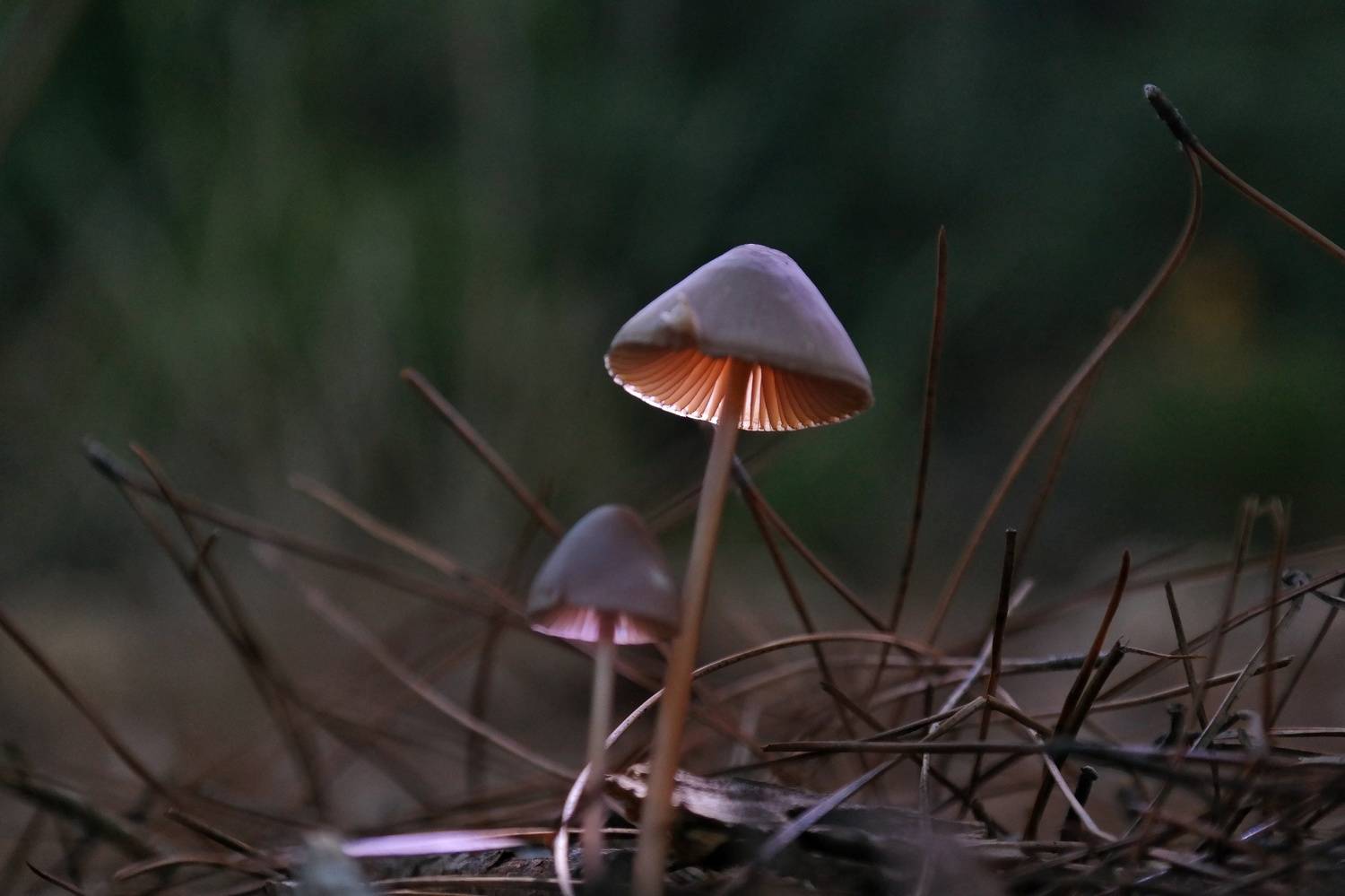 Photo #9211100