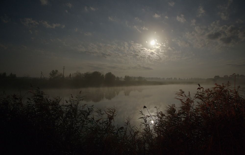 Фотография автора Медведев Сергей
