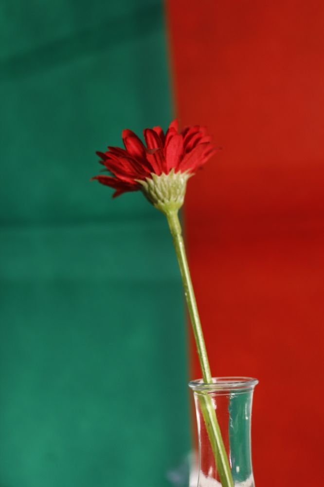 Photograph by Глеб Мацак