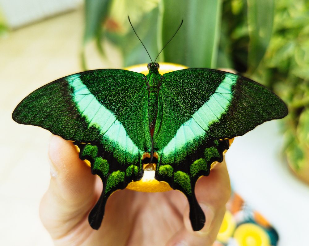 Photograph by Vitaliy