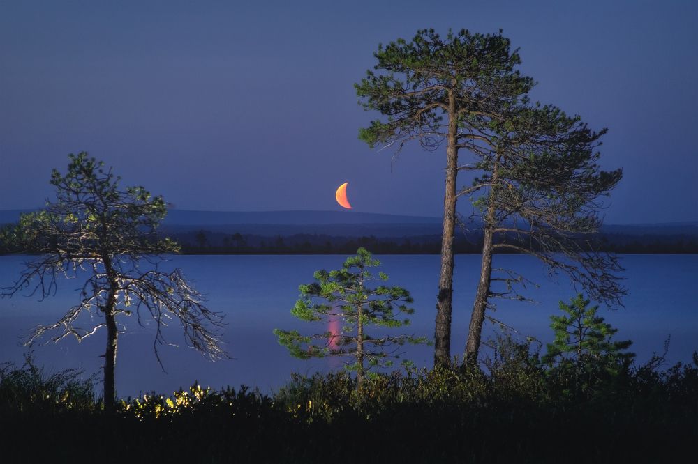 Photograph by Чаланов Иван