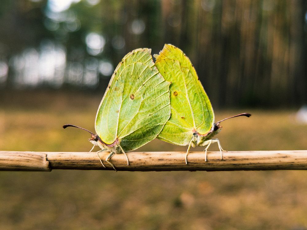 Поссорились.