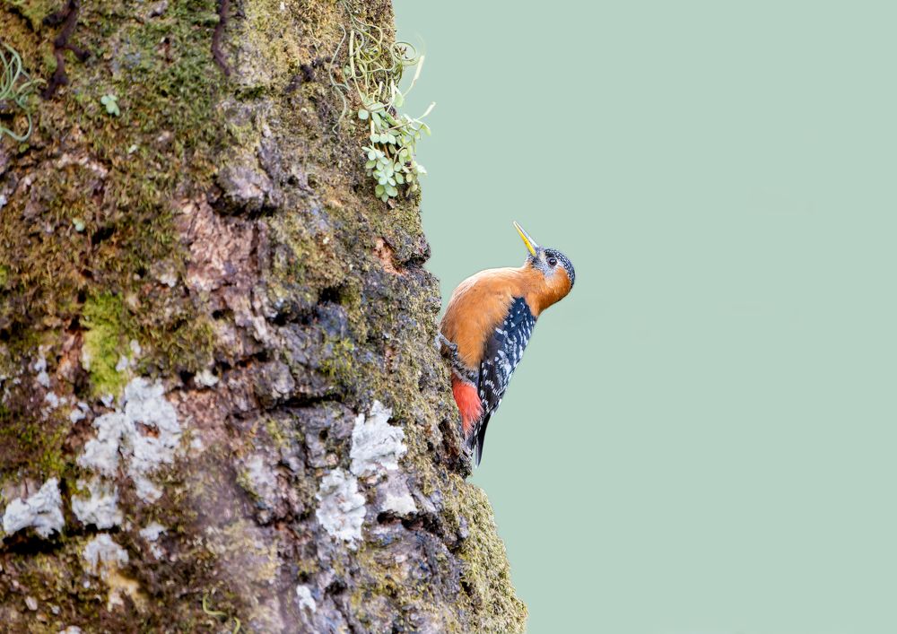 Фотография автора Manoj chandramouli