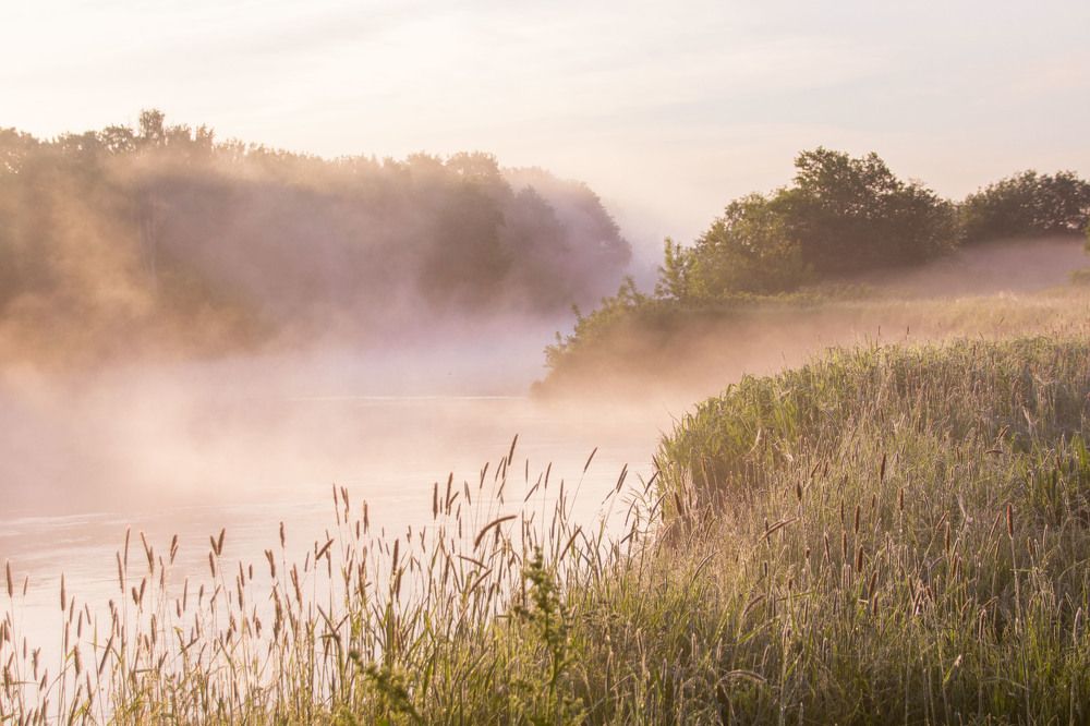 Photograph by Oksana Karmanova