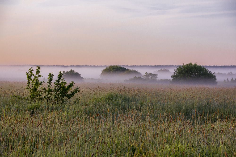 Photograph by Oksana Karmanova