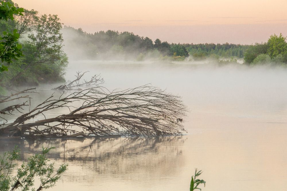 Photograph by Oksana Karmanova