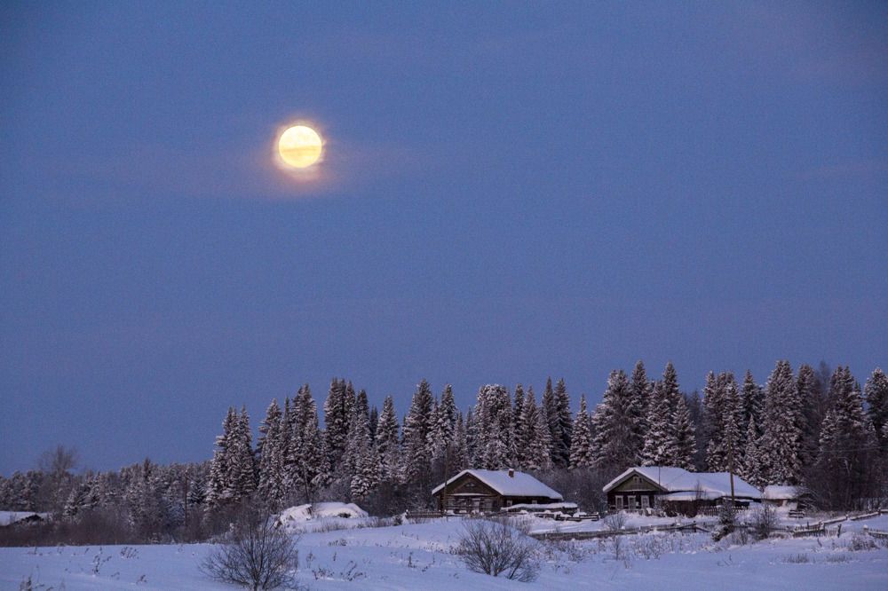 Photograph by Oksana Karmanova