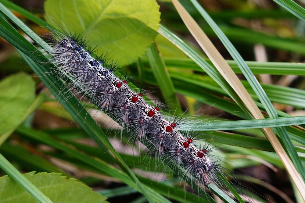 Photograph by Александр Кизим