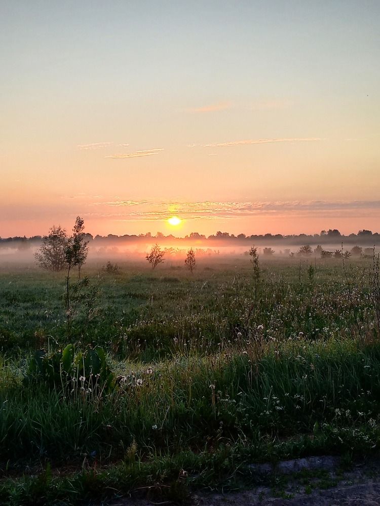 Photograph by Tatyana Busorgina