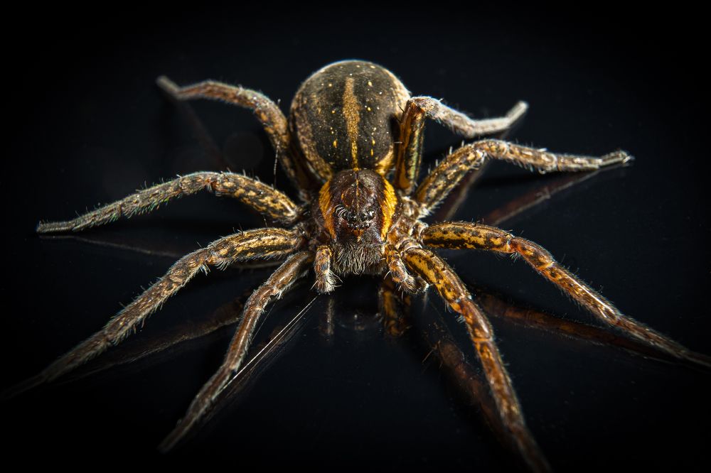 Photograph by Nikolay Nikolaev