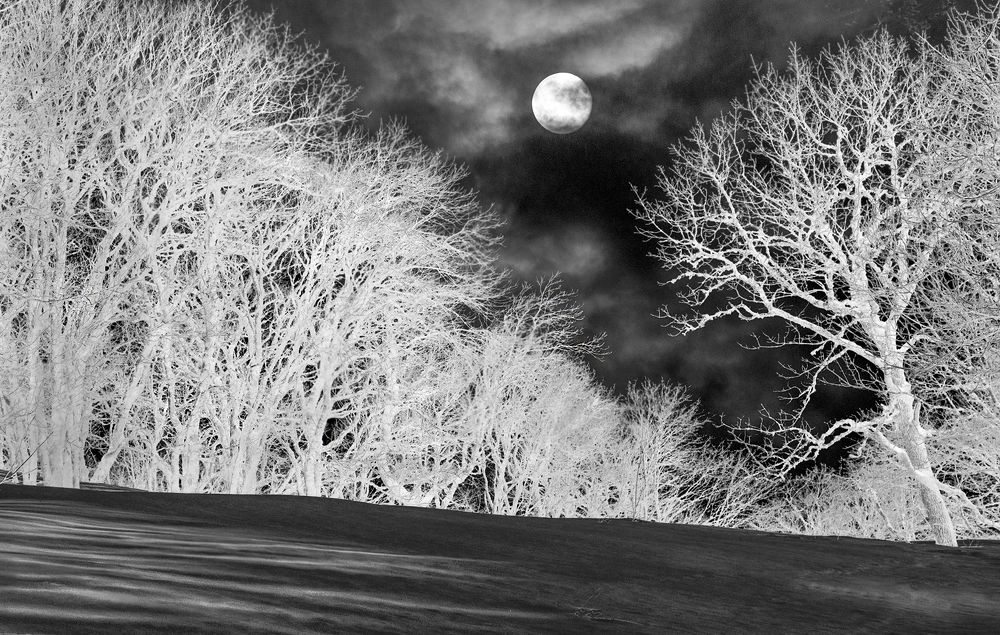 Photograph by Валерий Рябцев