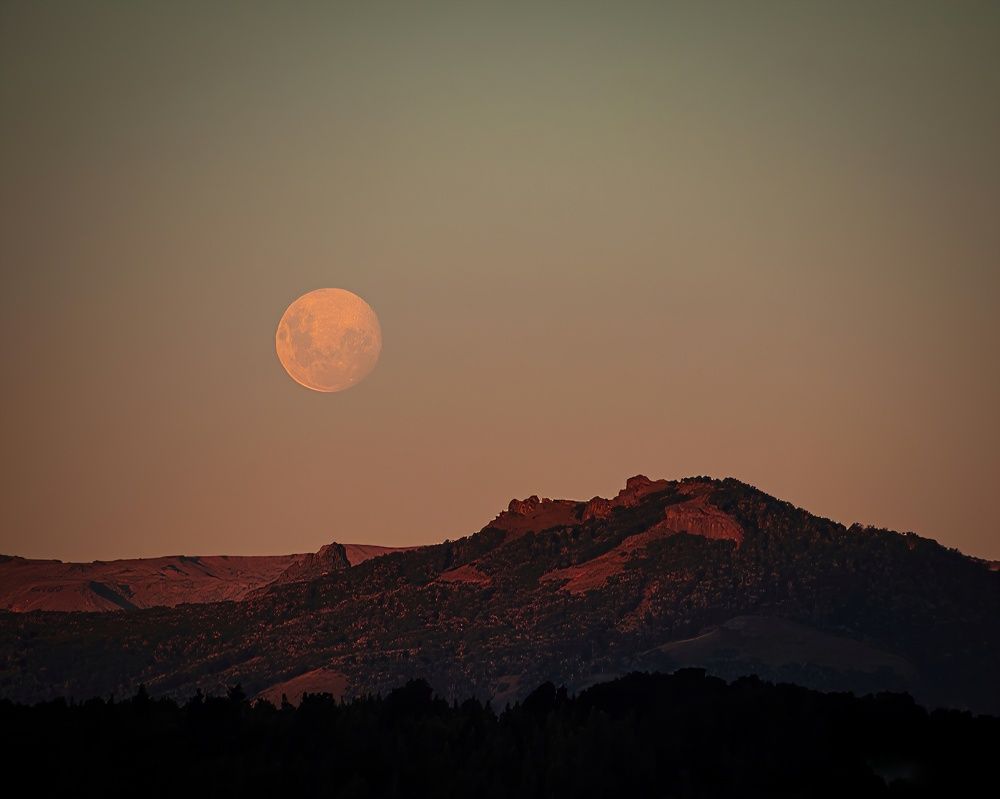 Photograph by Pablo Corengia