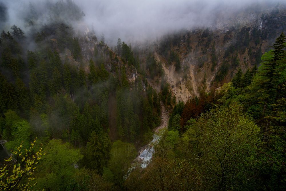 Фотография автора Utathya Roy